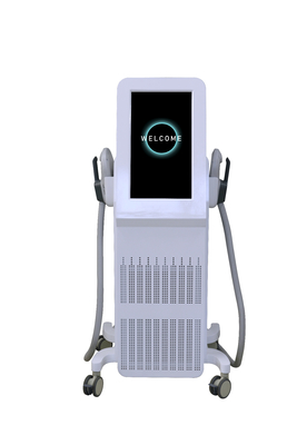 Machine de stimulation musculaire professionnelle 2000W Machine EMS pour la croissance musculaire