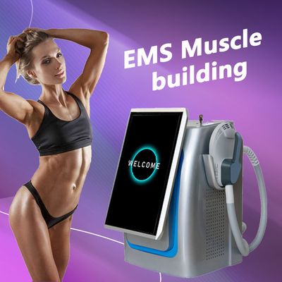 Puissante machine de sculpture corporelle EMS, pulsation de stimulateur musculaire magnétique 300us 5000w