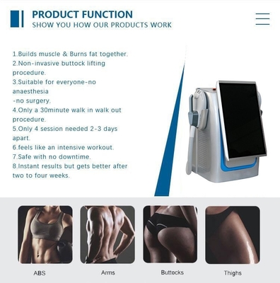 Machine électromagnétique de stimulation musculaire non invasive RF Slim Beauty Machine 5000W Pour la perte de poids